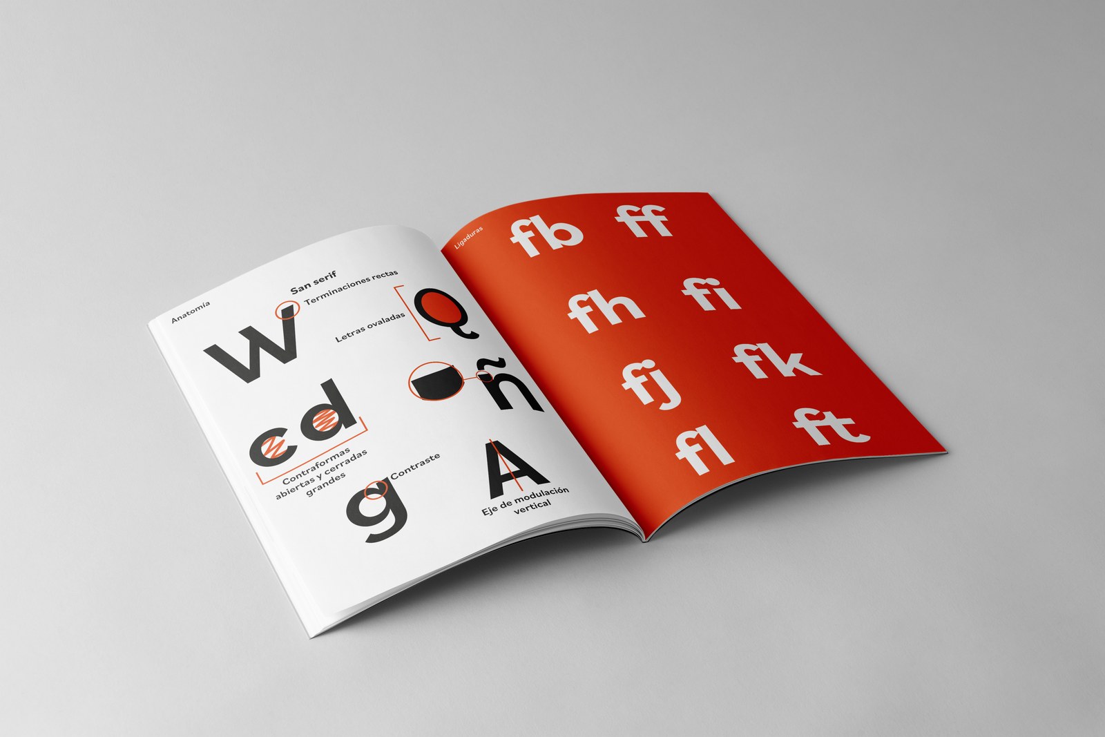 Bilo — Type Specimen — 3